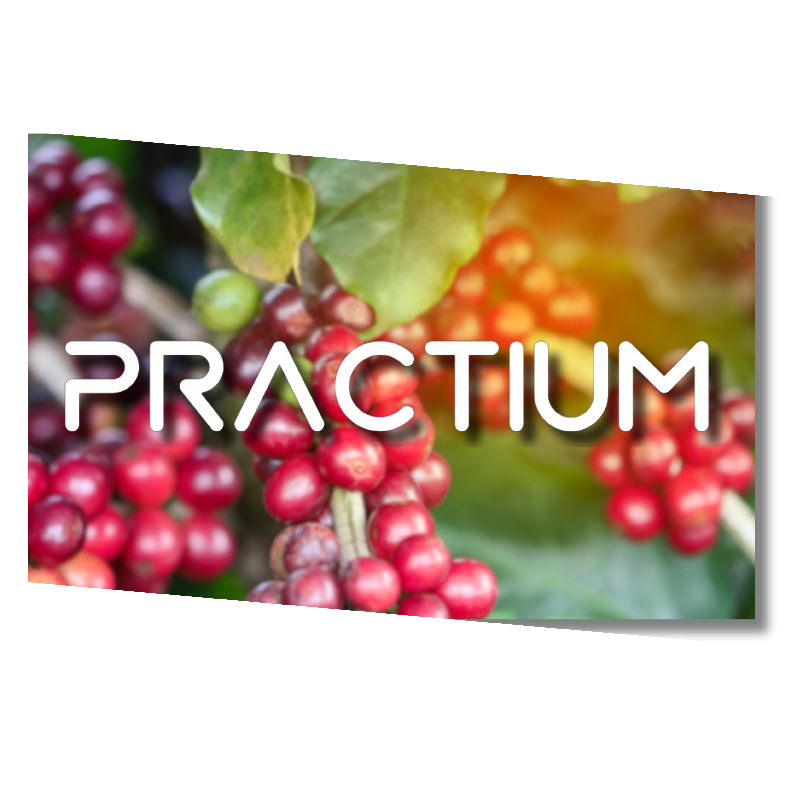 Practium